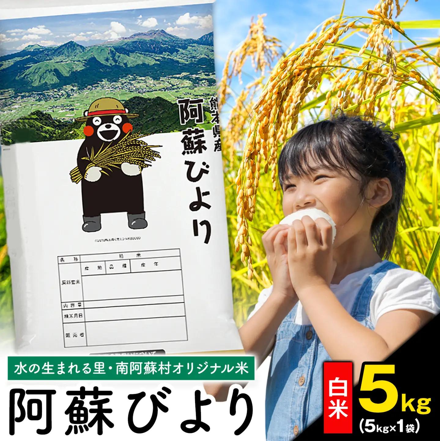 白米 精米 阿蘇びより 5kg 訳あり