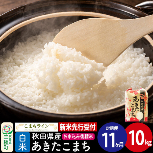 《新米先行受付》《定期便11ヶ月》【白米】あきたこまち 10kg 秋田県産 令和8年産 こまちライン [秋田 お米 米どころ あきたこまち こまちライン]