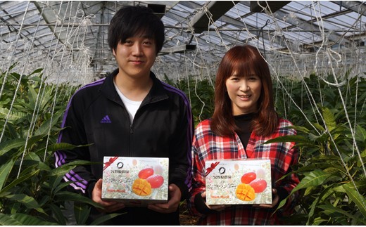 【ANA限定】糖度16度以上!宮崎スターズマンゴープレミアム 2~3玉(約1kg)宮野原農園 【先行予約】2026年発送<3.5-18>果物 くだもの フルーツ ギフト 宮崎県西都市