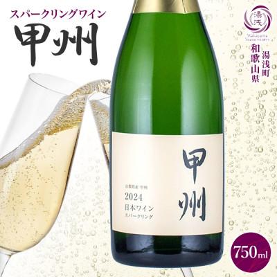 ふるさと納税 湯浅町 スパークリングワイン 甲州 11度 750ml 1本 果実酒 発泡ワイン 湯浅ワイナリー