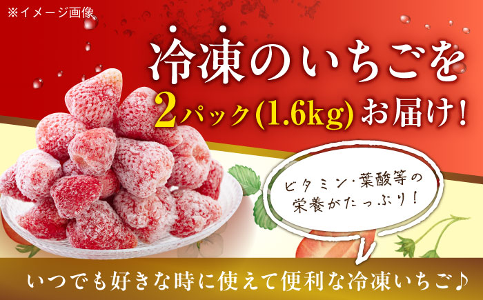 【冷凍】おいしさそのままぎゅっと閉じ込めました！紅ほっぺ800g×2パックセット　愛媛県大洲市/沢井青果有限会社 [AGBN041]苺 イチゴ スイーツ ケーキ かき氷 いちごパフェ ストロベリー お