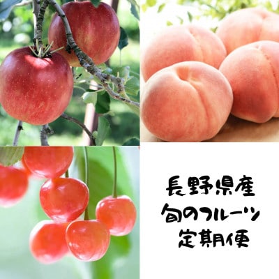 【発送月固定定期便】信州人気のフルーツを掛け合わせた果物セット全3回【配送不可地域：離島】【4081302】