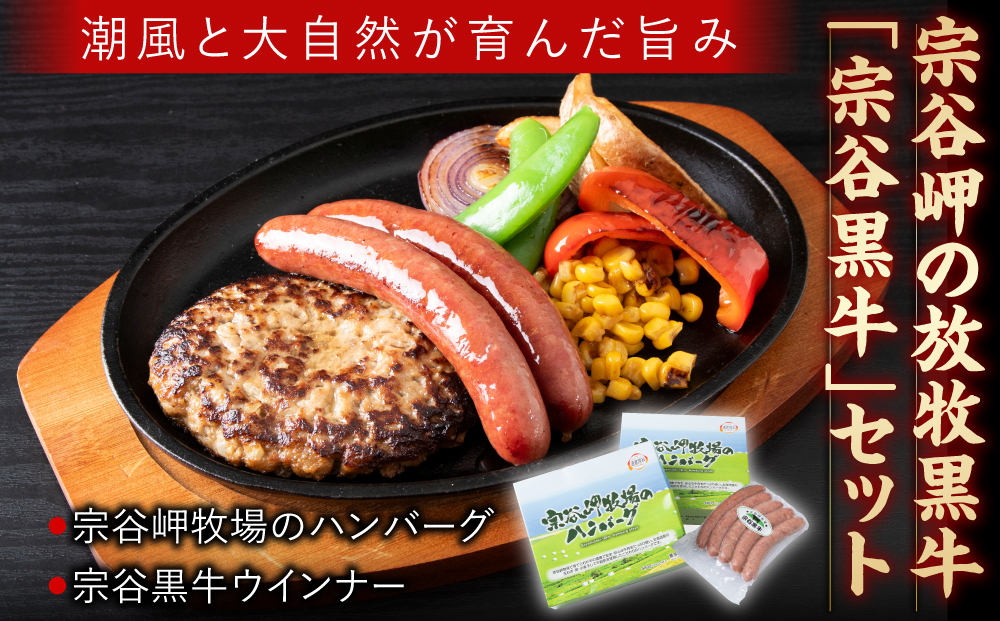 宗谷岬牧場のハンバーグ（ 120g × 4枚）× 2個 & 宗谷黒牛ウインナーセット