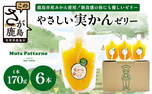 B-913 やさしい実かんゼリー 6個 セット ｜贈答 ギフト 完熟 温州みかん 使用 保存料不使用 スイーツ デザート 身体に優しい 贈り物 佐賀県 鹿島市 岡屋Farm&ily