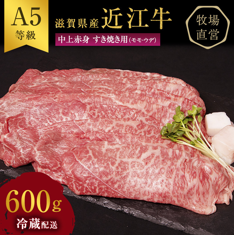 【最短1週間発送】 A5 近江牛 すき焼き肉 すき焼き 肉 牛肉 雌牛 中上赤身 約600g 黒毛和牛 滋賀県 豊郷町