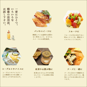 フルーツ漬け蜂蜜2本セット (梅みつ&生姜みつ)