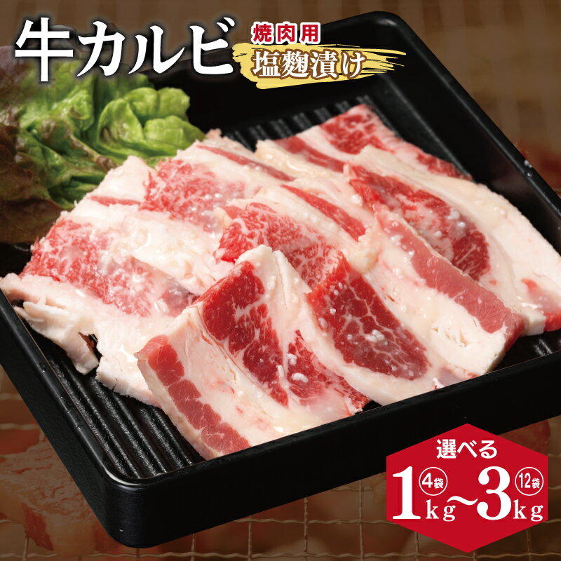 【ふるさと納税】牛カルビ 焼肉用 塩麹漬け 合計 1kg / 1.5kg / 2kg / 2.5kg / 3kg 味付け 小分け 焼くだけ 簡単調理 BBQ 牛肉 肉 牛 お肉 カルビ 焼肉 塩麹 柔らかい 便利 晩酌 おつまみ お取り寄せ お取り寄せグルメ 大阪府 泉佐野市 送料無料 肉の泉佐野