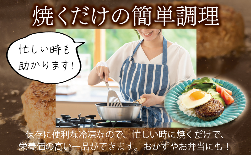 【特別規格】桜文 馬肉ハンバーグ 総量720g（120g×6個） 個包装 お試し