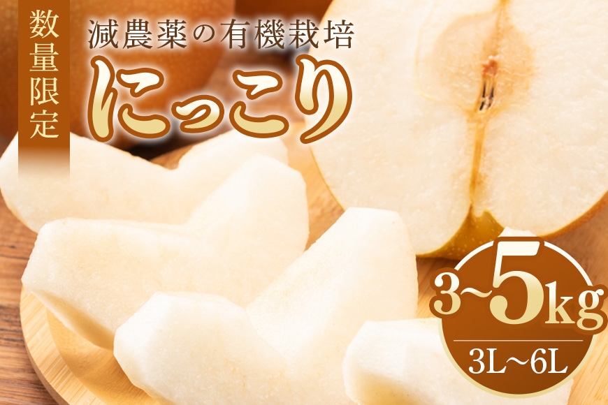 
            【数量限定・先行予約】 梨 にっこり 選べる 3kg～5kg (3kg 3L～6L 5～8玉 / 5kg 3L～6L 7～14玉) なし ナシ 果物 フルーツ 国産 【令和7年10月1日～11月末発送予定】 70-SKU-3
          