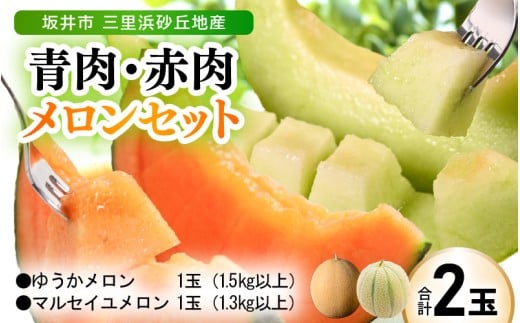【先行予約】 三里浜砂丘地で作られた「ゆうかメロン」1玉：1.5kg以上 (青肉系メロン) と マルセイユメロン 1玉：1.3kg以上 (赤肉メロン) セット 【2026年6月上旬以降順次発送予定】【メロン めろん フルーツ デザート 果物 くだもの 果実 赤肉 青肉 糖度 甘い ジューシー お取り寄せ グルメ 産地直送 】 [A-19206]