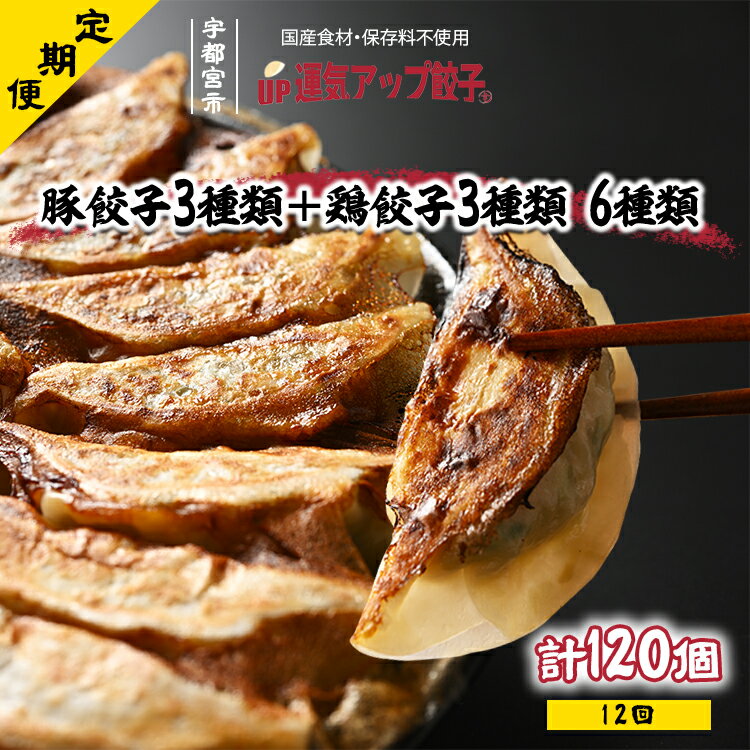【ふるさと納税】【定期便12回】宇都宮餃子 運気アップ餃子 6種類味比べ(合計120個)　保存料不使用【ぎょうざ ギョウザ ギョーザ 冷凍食品 冷凍餃子 惣菜 夜ご飯 おかず おつまみ 手軽 時短 お取り寄せ グルメ 送料無料 栃木県 宇都宮市】※配送不可地域：離島
