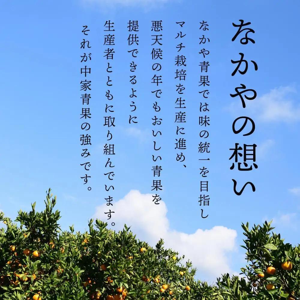 【訳あり】和歌山県産みかん ７kg 3S~2L サイズ みかん［MG58］