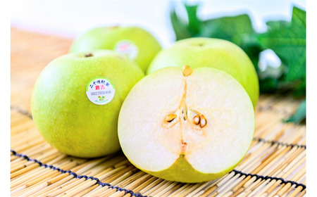 二十世紀梨 【倉吉産】3kg（JA鳥取中央） 梨 果物 フルーツ