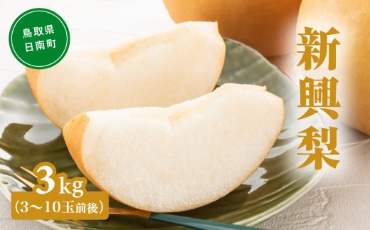 新興梨（しんこうなし） 3kg(3～10玉前後) 梨 なし 果物 日南町 高間商店
