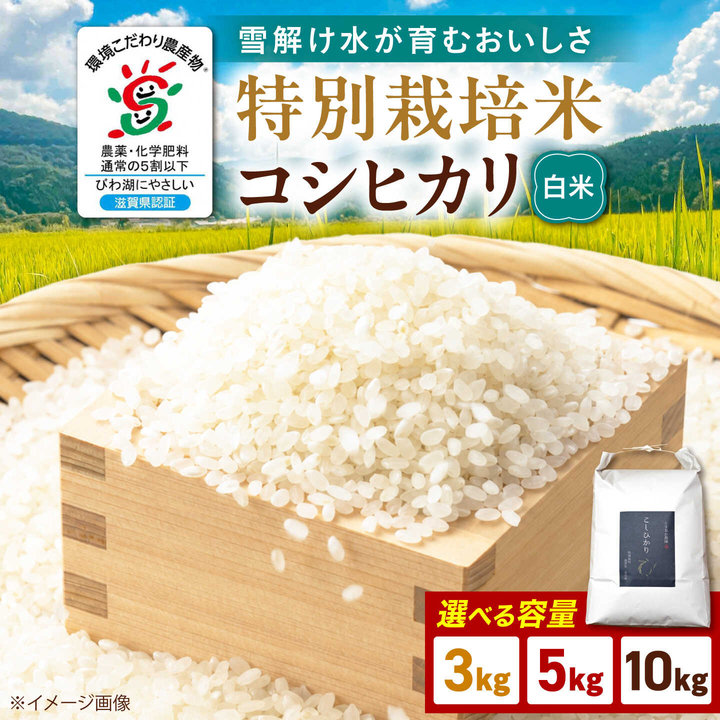 【ふるさと納税】【令和8年産 新米】特別栽培米コシヒカリ 選べる容量 3kg 5kg 10kg 白米 滋賀県長浜市/くさおか農園[AQEB001] こしひかり 米 こめ コメ ごはん ゴハン 精米 滋賀県 長浜市産 国産 環境こだわり米