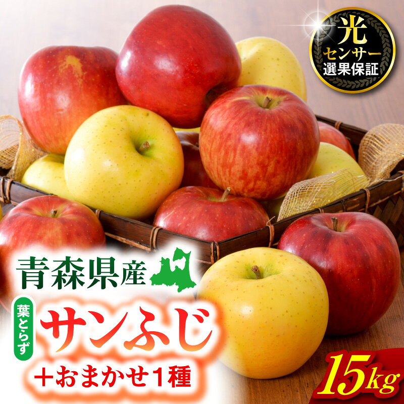 【ふるさと納税】 りんご 15kg 詰め合わせ 計2種 ( 葉とらず サンふじ と他1種 )【 配送時期が選べる 11月～3月 】 秋 旬 フルーツ 青森県 五所川原市
