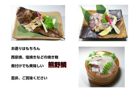 1/11以降配送 【テレビで紹介されました】 配送日指定可 【新姫　熊野鯛】  3枚おろし 冷蔵 水谷水産