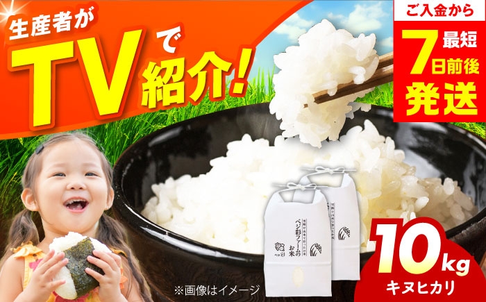 
            令和7年産 キヌヒカリ 10キロ きぬひかり 米 お米 白米 コメ おこめ 10kg 大阪府高槻市/ベジ彩ファーム [AOEJ010]
          