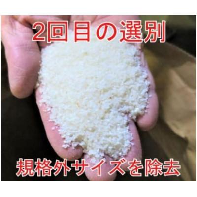 ふるさと納税 大仙市 【毎月定期便】全9回5kg(5kg×1袋)大手有名百貨店出荷米あきたこまち【令和7年産】全9回 |  | 01