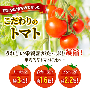 先行予約 訳あり トマト ごほうびとまと 1kg トマト