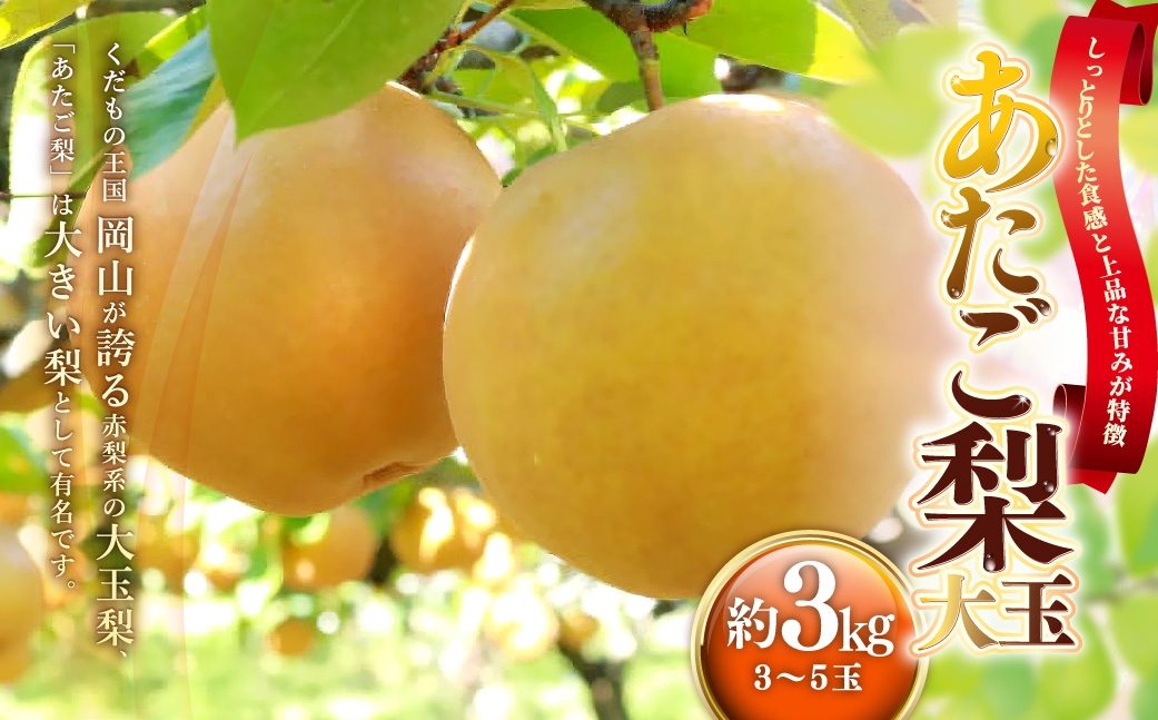 
                  あたご梨 約3kg （ 3 ～ 5玉 ） 梨 なし ナシ 贈答 くだもの 果物 果実 フルーツ あたご 贈答品 完熟 国産 岡山県産 【 2026年11月下旬～12月下旬発送予定 】
                