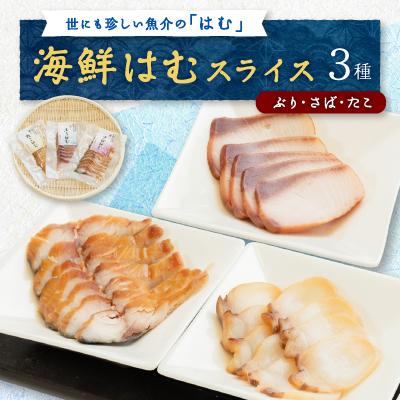 ふるさと納税 野々市市 【簡単・便利・味付け不要】海鮮はむスライス3種(ぶり・さば・たこ)詰合せ【おつまみ・おかずに!】