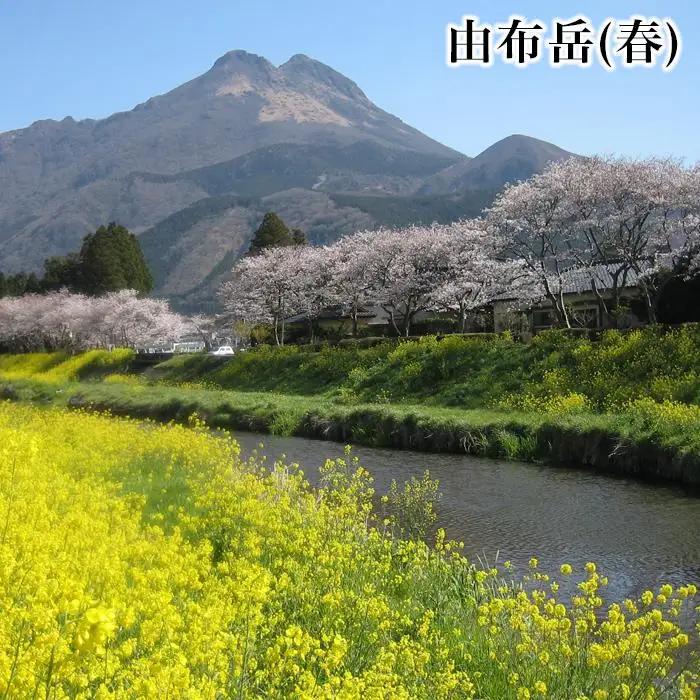 【湯布院、由布院、湯平、塚原高原】JTBふるさと旅行券（90,000円分）有効期間5年 | 予約 宿泊 観光 体験 温泉 ホテル 旅館 チケット 子供 子連れ カップル 家族 店頭 電話 由布市