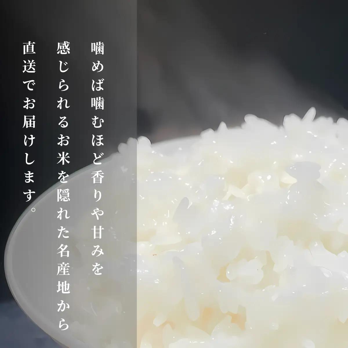 玄米 R7年産 5kg ヒノヒカリ | 玄米