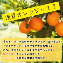 【先行予約】 秀優品 清見オレンジ 10kg 【S～３Lサイズ混合】 【2027年3月中旬から2027年4月中旬頃に順次発送】/みかん 清見 和歌山 フルーツ 有田 果物 オレンジ 甘い ジューシー【