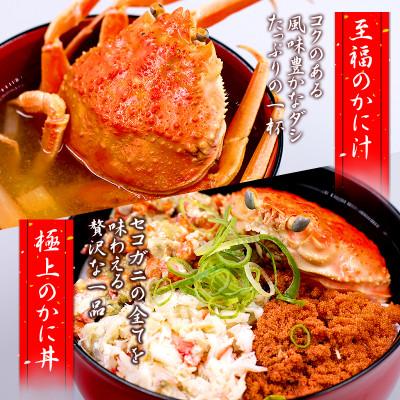 ふるさと納税 智頭町 【冬の味覚】松葉ガニのメス(セイコガニ・親がに)　活生セコガニの姿 約1kg 5〜8枚 鳥取県智頭町 |  | 01
