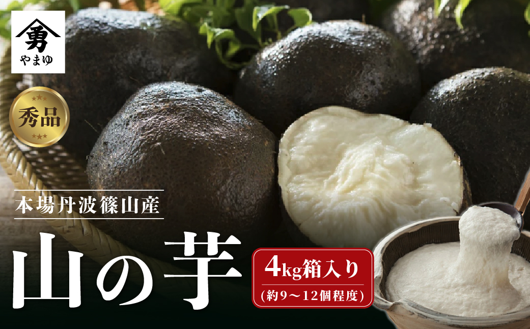 丹波篠山産 山の芋 秀品 4kg箱　令和7年産 新物