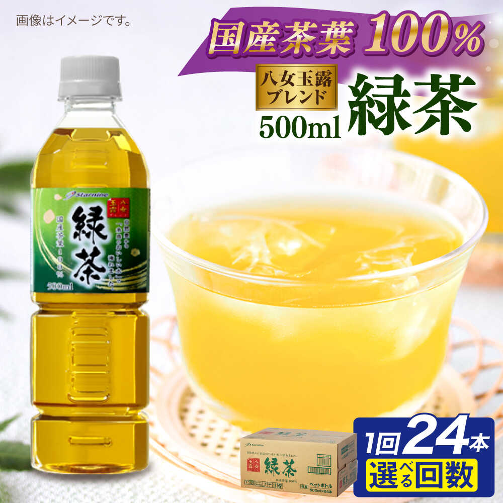 【ふるさと納税】八女 玉露入り 緑茶 500ml × 24本 / 48本 糸島市 / スターナイン お茶 ペットボトル [ARM004] お届け本数と回数選べる 常温 6500円 1万円以下