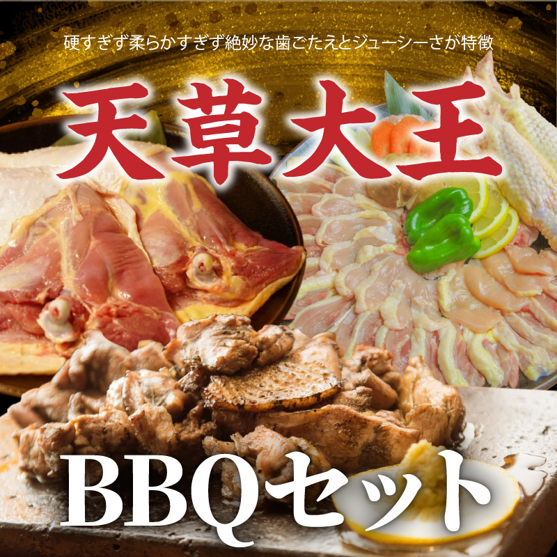 S081-018_天草大王 BBQセット