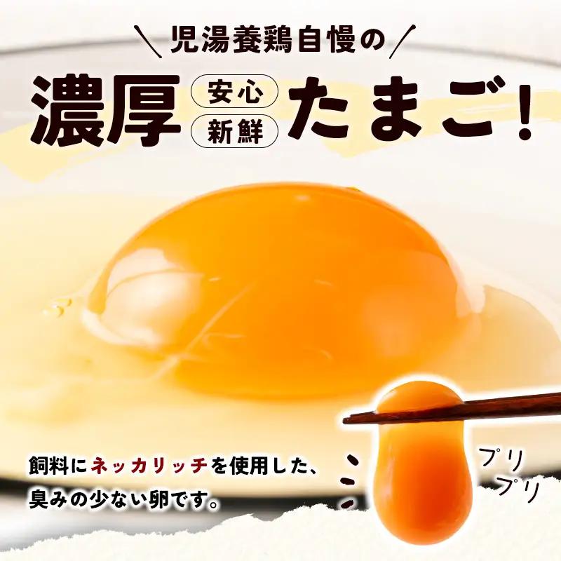 2027年3月開始 児湯養鶏自慢の卵ネッカリッチ赤たまご「児湯一番」 計240個 （20個入×2箱）×6か月定期便【D15-2703】