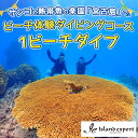 【ふるさと納税】サンゴと熱帯魚の楽園「宮古島」で、ビーチ体験ダイビングコース（1ビーチダイブ）（JK003）