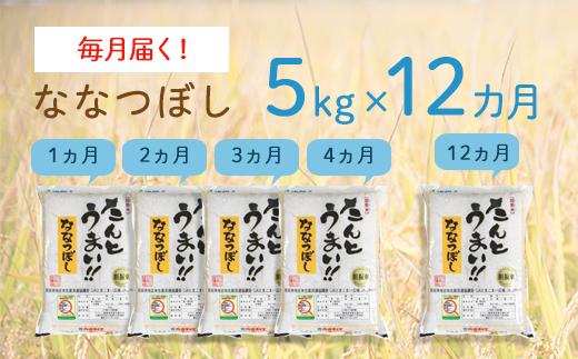 〈令和6年度産新米〉【1年間で60kg】14年連続特A受賞　北海道・胆振のブランド米　毎月5kgコース