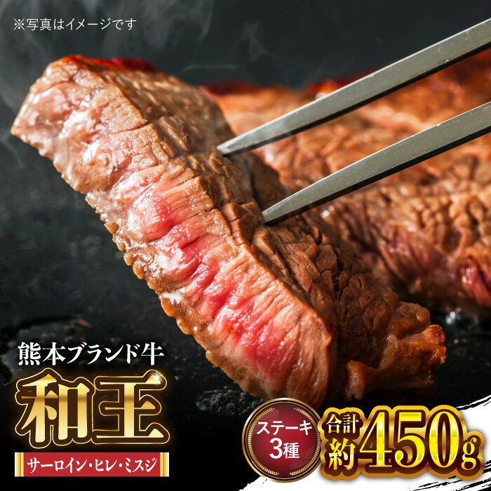 【ふるさと納税】和王 くまもと黒毛和牛 厳選 ステーキ 盛り合わせ【マイライフホールディングス 株式会社 】[ZCF009]