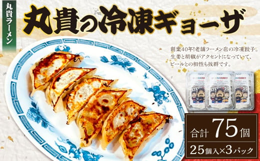 冷凍 生ギョーザ 計75個 (25個入り×3パック) 餃子 ぎょうざ ギョーザ