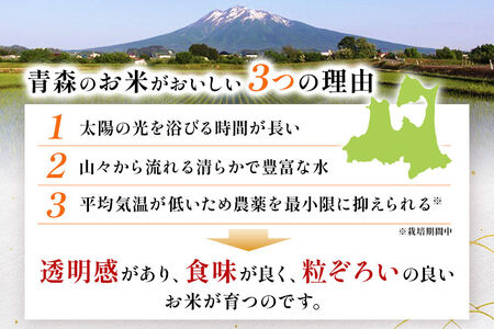  【定期便5ヶ月】【白米】青森県産 まっしぐら 10kg 精米 お米 青森県産 ブランド米