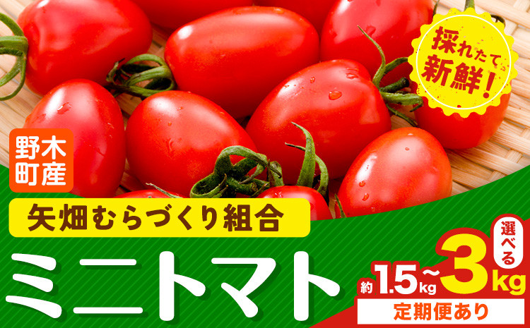 
            ミニトマト 約1.5kg 1箱 2箱 小箱 定期便あり 栃木県 野木町産 矢畑むらづくり組合 《10月上旬-6月下旬頃出荷》栃木県 野木町 トマト ミニトマト 野菜 新鮮
          