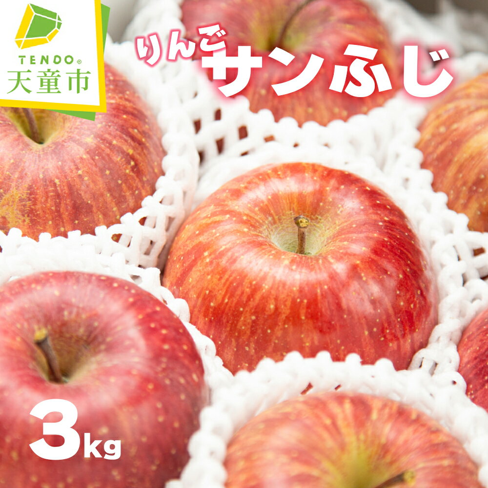 【ふるさと納税】 りんご ( サンふじ ) 3kg ふじ りんご 果物 フルーツ 秀 10玉 〜 11玉 のし 贈答 ギフト プレゼント おすそ分け お取り寄せ 旬 秋 冬 期間限定 送料無料 先行予約 【 山形県 天童市 】