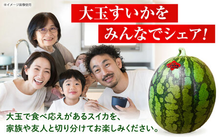【先行予約】 【数量限定】大玉スイカ 約7kg以上（1玉） 【とみおか農園】[ZEM004]