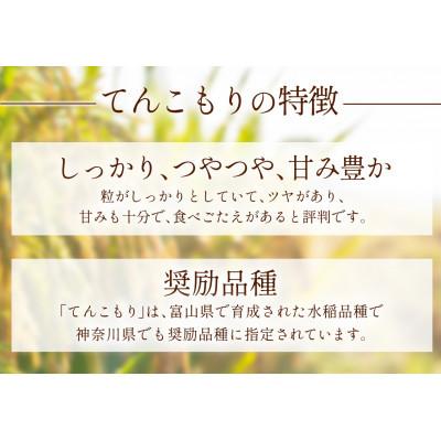 ふるさと納税 伊勢原市 【発送月固定定期便】11月上旬から出荷予定　合計30kg 精米 てんこもり10kg全3回 |  | 01