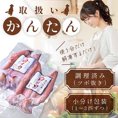 ふるさと納税 京丹後市 BBQにぴったり!白イカ(ケンサキイカ)　調理済み　正味1kg入り(4〜8匹)　※小分け真空包装 |  | 02