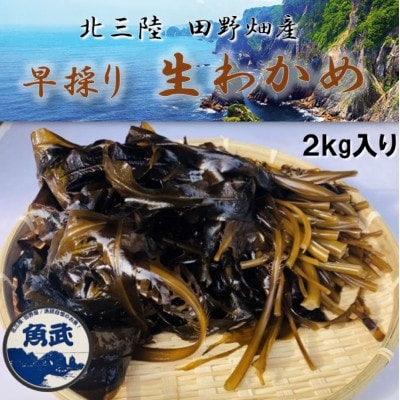 【期間限定】早採り生わかめ 2kg【配送不可地域：離島・沖縄県・九州】【1541215】