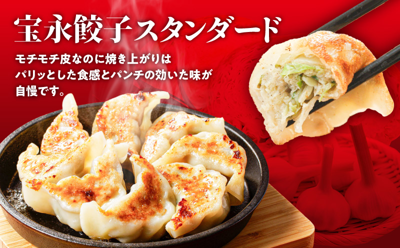 【全12回定期便（毎月）】ぎょうざの宝永 しそ餃子セット（宝永餃子 15個入×2袋＆しそ餃子 15個入×2袋）合計1.5kg　T004-T04-05