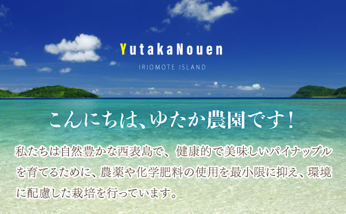 2025年 先行予約 ピーチパイン 約4.5kg 5玉～7玉 ちゅら西表島産!! ゆたか農園 完熟 パイン 果物 フルーツ パイナップル