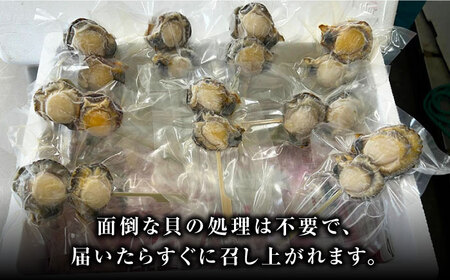 ヒオウギ貝　むき身　2個串刺し×9パック　《対馬市》【対馬新鮮組】　肉厚　ひおうぎ貝　下処理済　貝　新鮮　特産品　冷凍配送[WCS012]