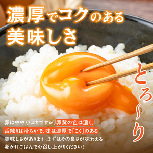 【3ヶ月定期便】【山ちゃん家の生みたて葉酸たまご】赤玉元気卵（40個入り）［132Y07-T］