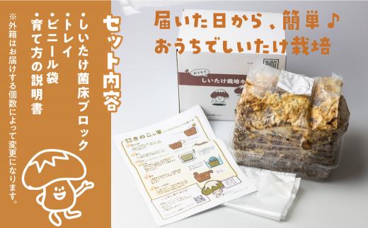 【定期便 年4回】 菌床椎茸栽培キット 1個 （3ヶ月おきにお届け 全4回）| しいたけ シイタケ 椎茸 栽培キット きのこ 栽培 菌床 しいたけ菌 椎茸菌 栽培ブロック 採れたて とれたて 夏休み 